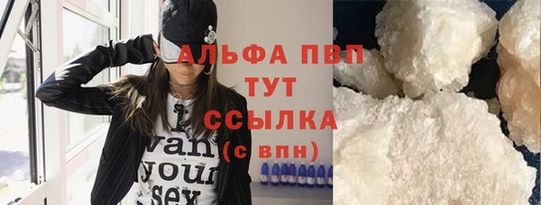 гидра Надым