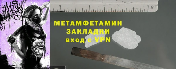 гидра Надым
