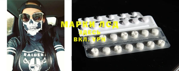 гидра Надым