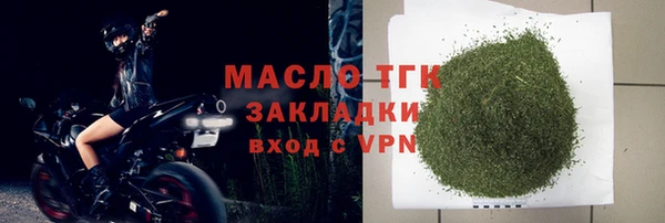 гидра Надым