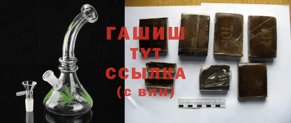 гидра Надым