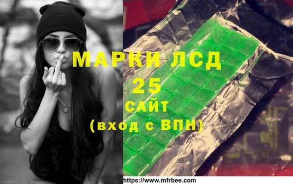 гидра Надым