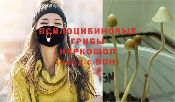 гидра Надым