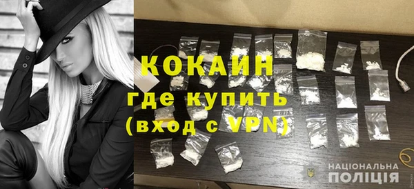 гидра Надым