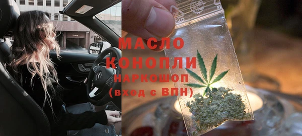 гидра Надым